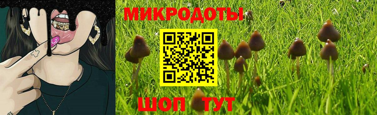 Псилоцибиновые грибы Magic Shrooms  Вход с VPN  Малгобек  Галлюциногенные грибы MAGIC MUSHROOMS 